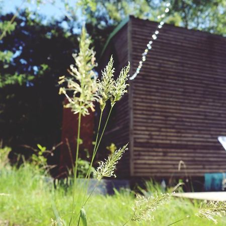 Отель Tiny House Nouvelle Annonce Boho Ocean Naujac-sur-Mer Экстерьер фото